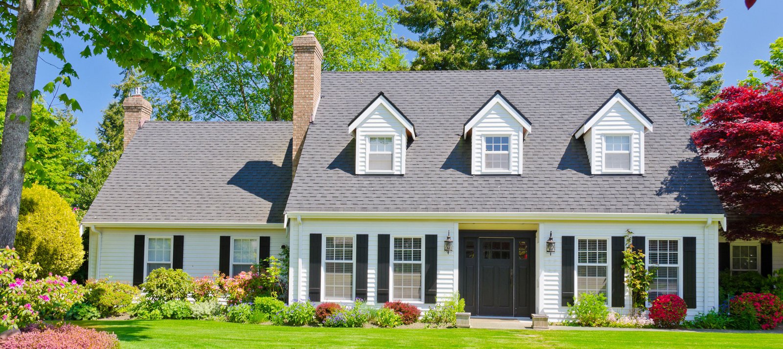 Roof estimates online